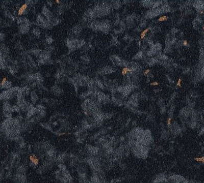 Black Labrador